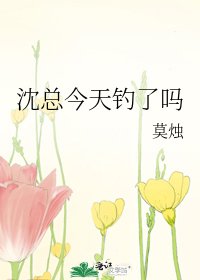 沈總今天釣了嗎